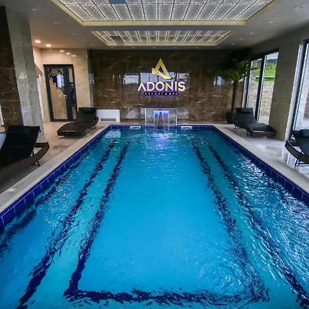 Adonis 204 * Zlatibor