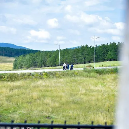 Adonis 204 * 즐라티보