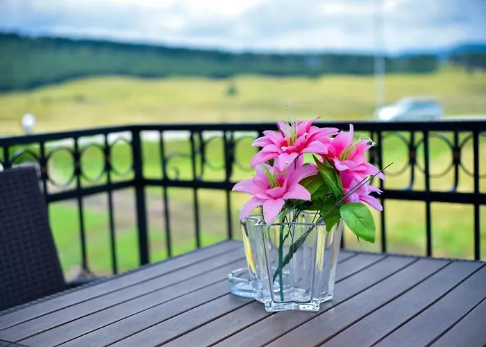 Adonis 204 즐라티보